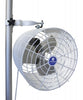 Versa Cool 12 Fan