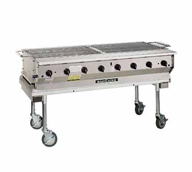 Grill, Propane 2 ft. x 5 ft. Propane