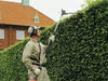 Extended Hedge Trimmers