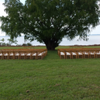 PRE Natural Wooden Chairs